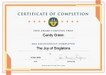 The Joy of Singletons Certificate