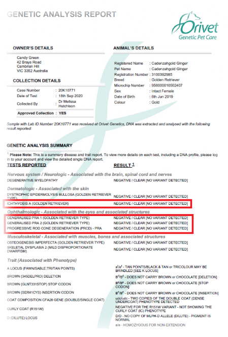 Picture of Cadenzahgold DNA Certification